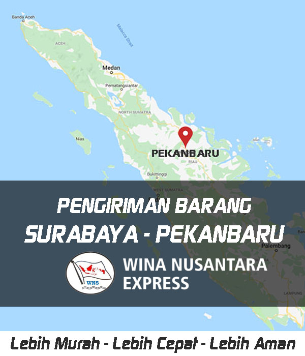 Pengiriman Barang Surabaya Pekanbaru
